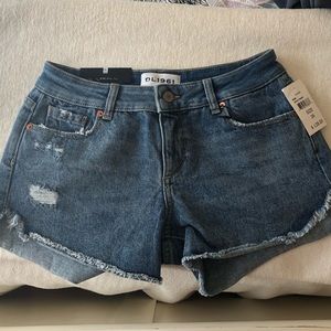 Hudson Denim Shorts